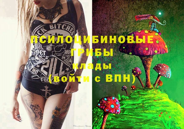 ПСИЛОЦИБИНОВЫЕ ГРИБЫ Богородицк