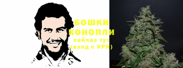 ПСИЛОЦИБИНОВЫЕ ГРИБЫ Богородицк
