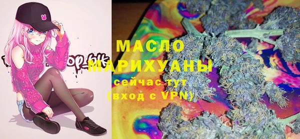 ECSTASY Богданович