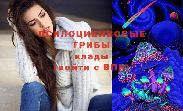 ПСИЛОЦИБИНОВЫЕ ГРИБЫ Богородицк