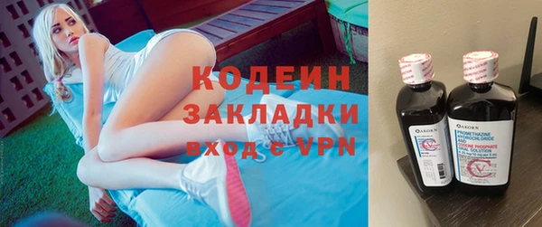 ECSTASY Богданович