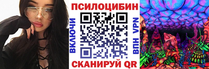 Галлюциногенные грибы MAGIC MUSHROOMS  где продают наркотики  Данилов 
